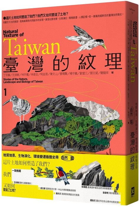 臺灣的紋理1
